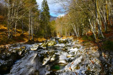 Korita Mostnice and Mostnica creek flowing through a forest in Slovenia clipart