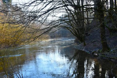 Rak Nehri üzerinde ağaç dalları ve suda bir yansıma.