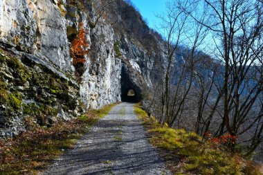 Çakıl yolu Slovenya 'nın Notranjska kentindeki Podtabor' daki kayaya çıkan kireçtaşından bir uçurum haykırıyor.