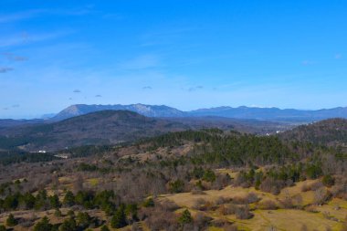 Notranjska, Slovenya ve Nanos platolarındaki ormanlar kaplıydı