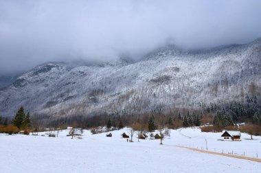Slovenya 'nın Gorenjska kentindeki Voje' deki kış tarlalarının üzerindeki yamaçları kaplayan kar ormanı kapladı