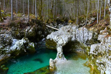 Sloncek natural rock formation in Korita mostnice in Gorenjska, Slovenia clipart