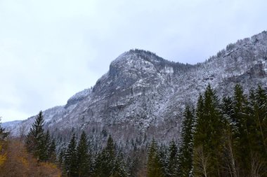 Majestic mountain with snow covered forest bellow in winter above Voje in Gorenjska, Slovenia clipart