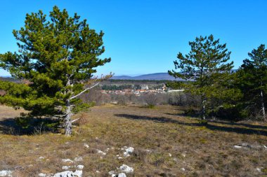 Slovenya 'nın Istria kentindeki Çam ağaçları ve Crnotice köyü ile Karst çayır manzarası