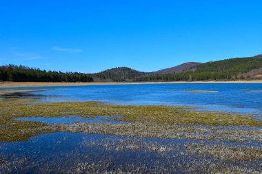 Slovenya 'nın Notranjska kentinde, Petelinjsko Jezero Gölü' nde, gölün üzerindeki tepeleri kaplayan ormanlı otlar.