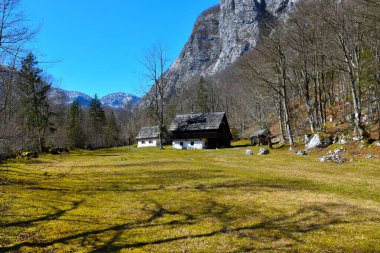 Bohinj, Julian Alps, Gorenjska, Slovenya 'da geleneksel mimaride evleri olan çayır.