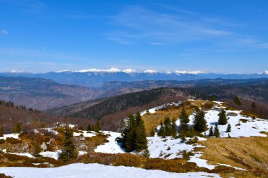 Slovenya 'nın Gorenjska kentindeki Karavanke dağ sırası ve Jelovica ve Pokljuka platosunun panoramik manzarası