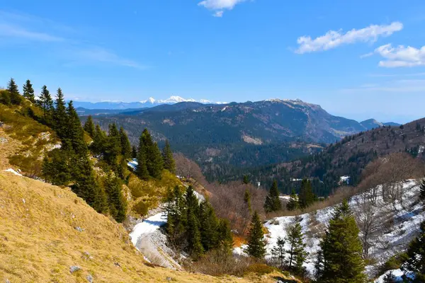 Slovenya 'nın Gorenjska kentindeki Ratitovec dağ sıraları ve orman manzarası