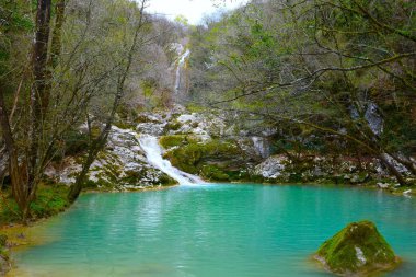 Şelale Zagona Hırvatistan 'ın Istria kentindeki Buzet kanyonunda turkuaz renkli bir göle akıyor