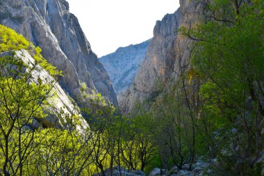 Hırvatistan 'daki Pakistan ulusal parkında bir vadi manzarası
