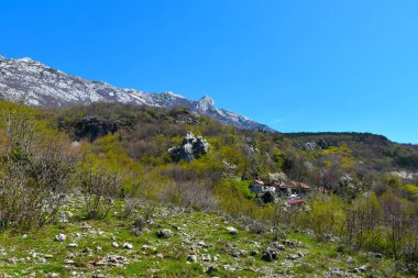 İlkbahar ormanının üzerindeki dağ zirvesi ve Hırvatistan 'ın Pakistan ulusal parkında bir kulübe