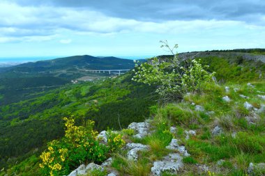 Slovenya 'nın Primorska kentinde ilkbaharda Kraski' den gelen Crni kal viyadükünün görüntüsü