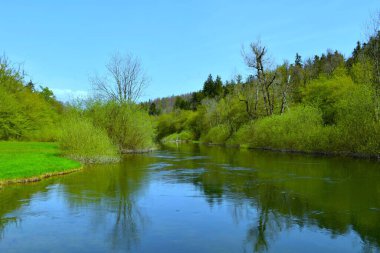 Rakov Skocjan, Notranjska, Slovenya 'da kıyısı olan Rak Nehri manzarası