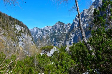 Slovenya 'nın Gorenjska kentindeki Krma Vadisi üzerindeki dağ zirvesi manzarası