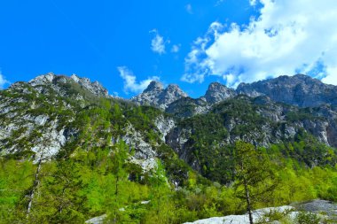 Slovenya 'nın Gorenjska kentinde Krma üzerinde baharda dağlar