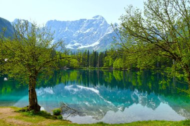 İtalya 'nın Tarvisio belediyesindeki lago di fusine inferiore ve Mangart dağlarının tepelerindeki ağaçlar