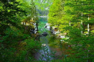 İtalya 'daki Iago di Fusine Üstünlüğü' ndeki bir ormanda su kanalı.