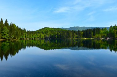 İtalya 'nın Tarvisio belediyesindeki lago di Fusine Inferiore tepesinde orman kaplıydı.