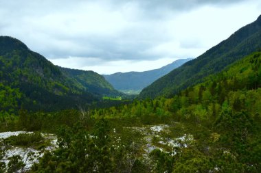 Slovenya 'nın Gorenjska kentindeki Jezersko' da orman ve bulutlarla kaplı Ravenska Kocna Vadisi manzarası