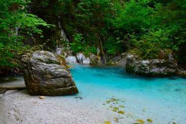 Slovenya 'nın Gorenjska kentindeki Kamniska Bistrica nehri turkuaz renkli.