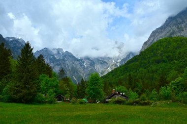 Slovenya 'nın Gorenjska kentindeki Kamniska Bistrica vadisinde ahşap evleri ve ormanları olan çayır.