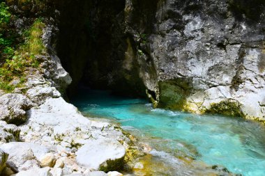 Slovenya 'nın Gorenjska kentindeki Predaselj vadisinden akan Kamniska Bistrica Nehri