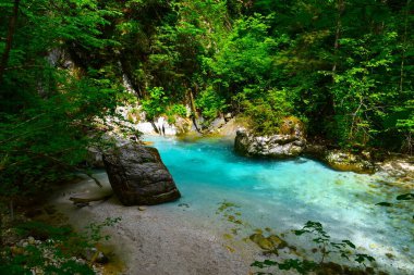 Slovenya 'nın Gorenjska kentindeki güzel Kamniska Bistrica turkuvaz renkli nehri