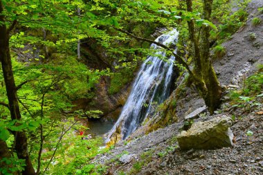 Slovenya 'nın Gorenjska kentindeki Jelendol' da Stegovnik şelalesinin manzarası