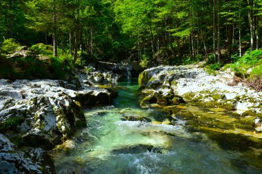 Slovenya 'nın Gorenjska kentindeki Korita Mostnice' deki Kireçtaşı kaya oluşumlarından akan Mostnica deresinin görüntüsü
