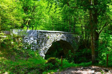Slovenya 'nın Gorenjska kentindeki Mostnica ormanında Hudicev' in en taş köprüsü
