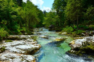 Slovenya 'nın Gorenjska kentindeki Korita Mostnice ormanından akan Mostnica nehri