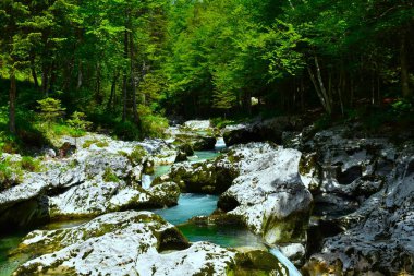 Slovenya 'nın Gorenjska kentindeki ağaçlarla Korita Mostnice' deki güzel Mostnica deresi