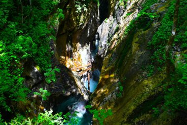 Slovenya 'nın Gorenjska kentindeki Korita Mostnice geçidinde yaz mevsiminde