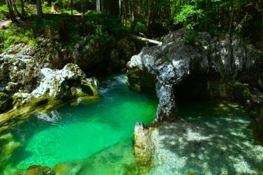 Slovenya 'nın Gorenjska kentindeki Korita Mostnice' de Sloncek kaya oluşumunun yanında akan Mostnica deresi