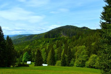 Slovenya 'da Karavanke' de orman ve çayır kaplıydı