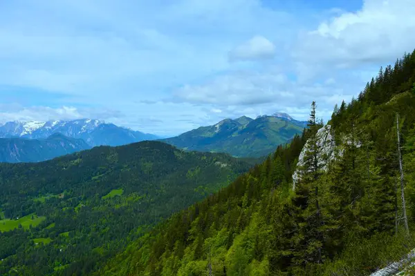 Slovenya 'nın Gorenjska kentinde Karavanke dağlarındaki Golica dağı ve körükle kaplı bir orman manzarası