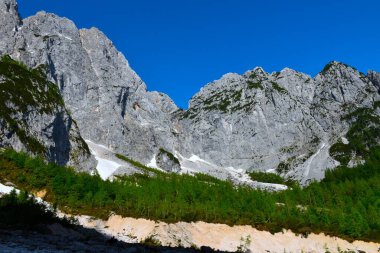 Julian Alpleri, Gorenjska, Slovenya 'daki Pod Spik' te bir tarla ormanının üzerindeki dağlar