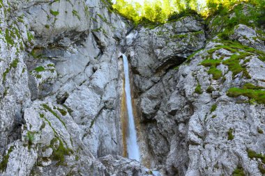 Zgornji Martuljski 'nin Slovenya' nın Gorenjska kentindeki Martuljek 'te kireçtaşı kayalıklarından akan suyu görüntüsü
