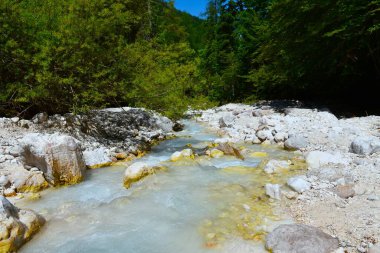 Slovenya 'nın Gorenjska kentinde Martuljek Alp Deresi kaya alüvyonundan akıyor