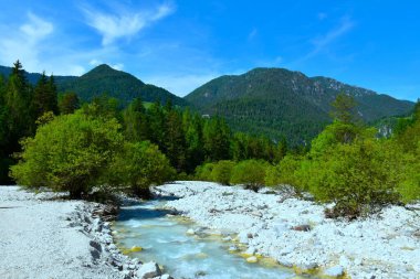 Slovenya 'nın Gorenjska kentindeki orman manzarası Karavanke dağları ve Martuljek deresinin akışını kapsıyor.