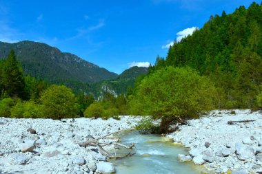 Slovenya 'nın Gorenjska kentindeki Karavanke dağlarıyla birlikte Martuljek deresinin alüvyum kayası ve söğüt ağacı akışını görüyoruz.