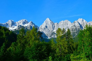 Slovenya 'nın Gorenjska kentindeki Martuljek sıradağlarının manzarası