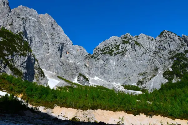 Julian Alpleri, Gorenjska, Slovenya 'daki Pod Spik' te bir tarla ormanının üzerindeki dağlar