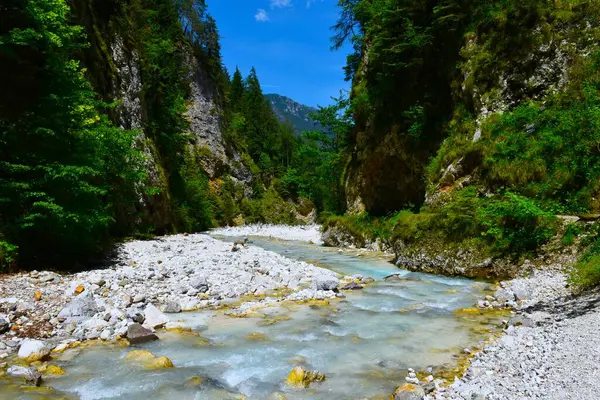 Martulje deresi Julian Alpleri, Gorenjska, Slovenya 'daki bir vadiden akıyor
