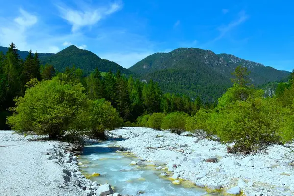 Slovenya 'nın Gorenjska kentindeki orman manzarası Karavanke dağları ve Martuljek deresinin akışını kapsıyor.