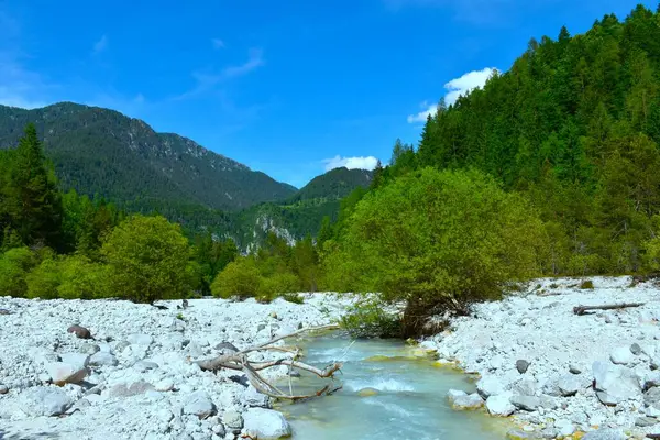 Slovenya 'nın Gorenjska kentindeki Karavanke dağlarıyla birlikte Martuljek deresinin alüvyum kayası ve söğüt ağacı akışını görüyoruz.