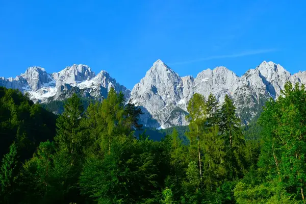 Slovenya 'nın Gorenjska kentindeki Martuljek sıradağlarının manzarası