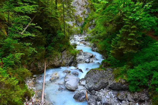 Martuljel deresi Gorenjska, Slovenya 'da bir vadiden akıyor.