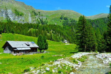 Orta doğu Alpleri, Hintermuhr 'daki Radstadter Tauern dağları ile Muritzen Alp otlağı ve Muritzenbach deresindeki ahşap kulübe manzarası.