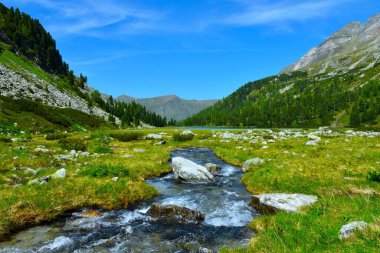 Avusturya 'nın Orta Doğu Alpleri, High Tauern' deki Karwassersee 'de bir çayırdan dere akıyor.